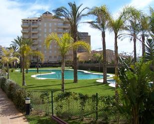 Swimming pool of Apartment to rent in La Antilla  with Air Conditioner and Terrace