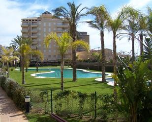 Piscina de Apartament de lloguer en La Antilla amb Aire condicionat i Terrassa