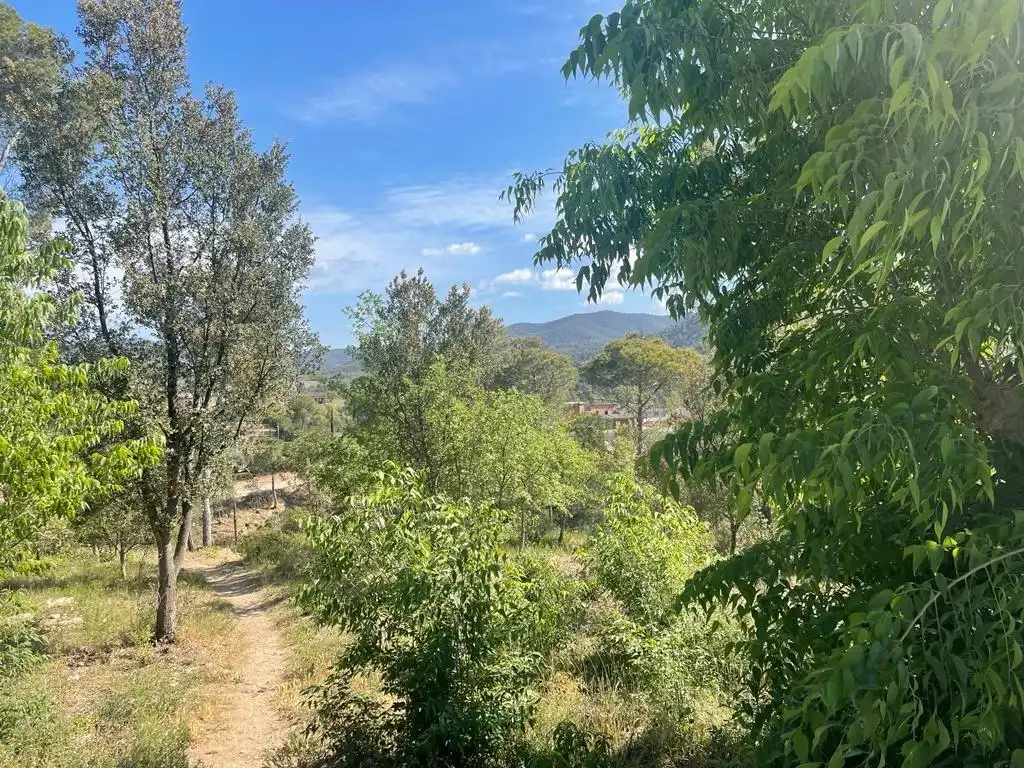 Terrenys i solars en venda a La Torre de Claramunt, imagen 2