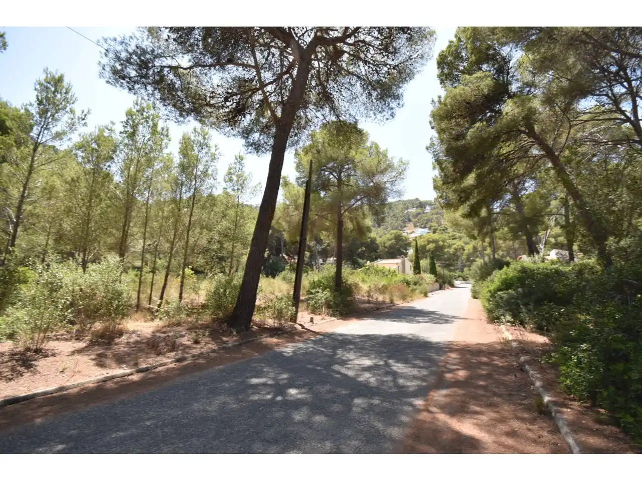 Terreny rústic en venda a Via Muntanya 16, imagen 21