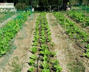 Jardí de Finca rústica en venda en Maldà