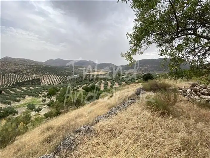 Terreni e lotti in vendita a Colomera, imagen 16