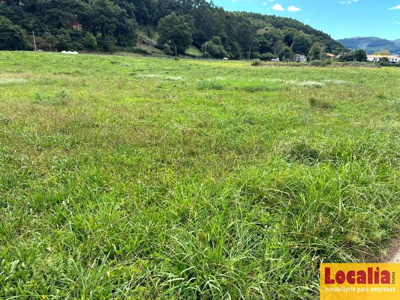 Rural land for sale in Carandía, imagen 9