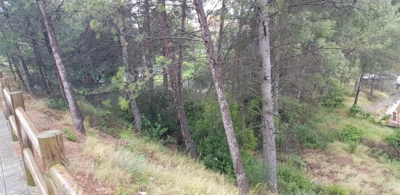 Residential land for sale in Penedès, imagen 29