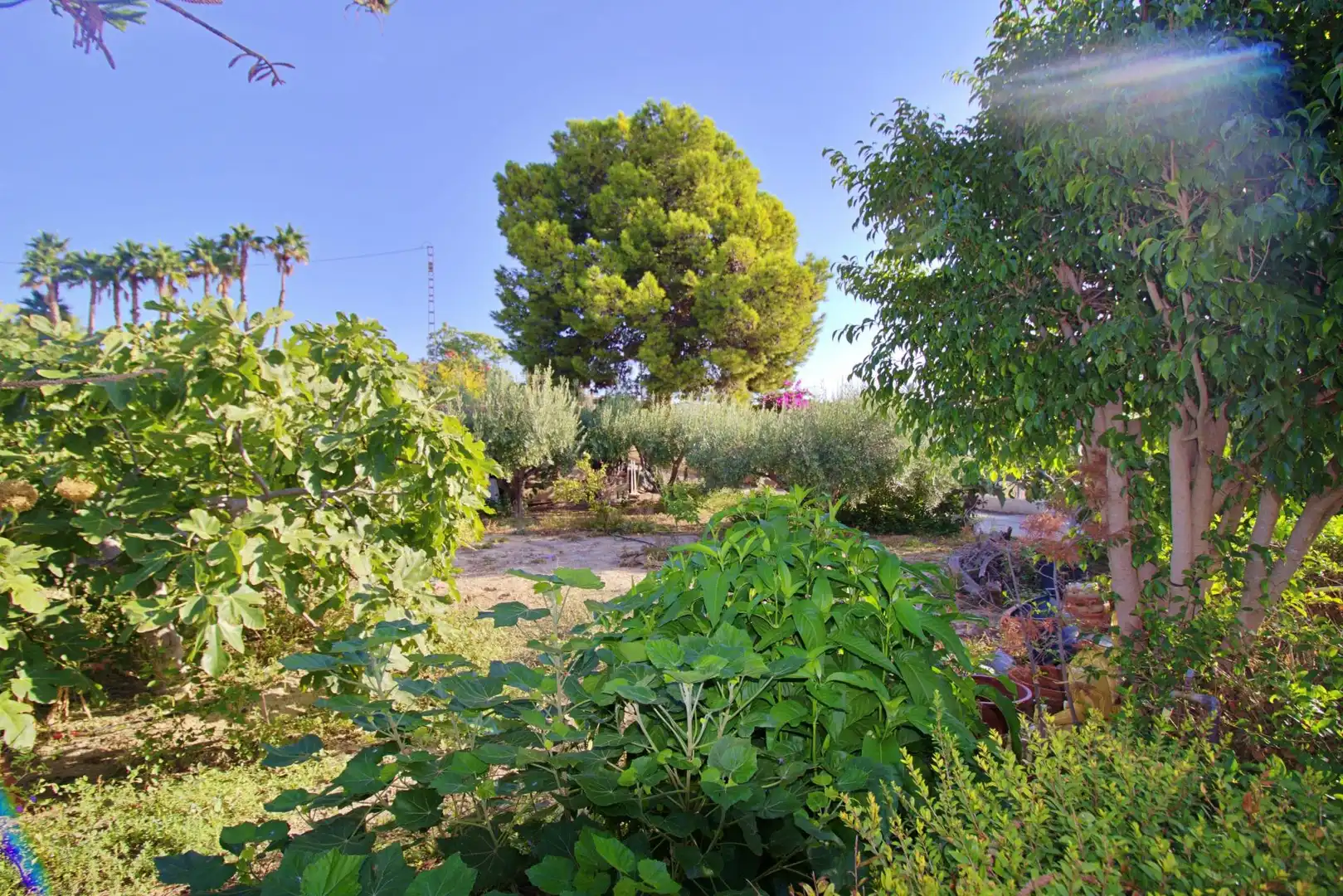 Villa avec piscine à vendre à Jubalcoi, imagen 48