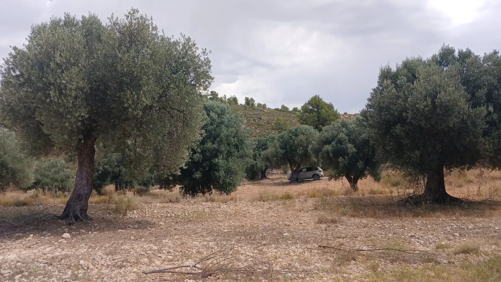 Terreno en venta en Torrevelilla, Teruel