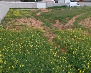 Finca rústica en venda en Chiclana de la Frontera