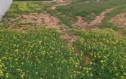 Finca rústica en venda en Chiclana de la Frontera