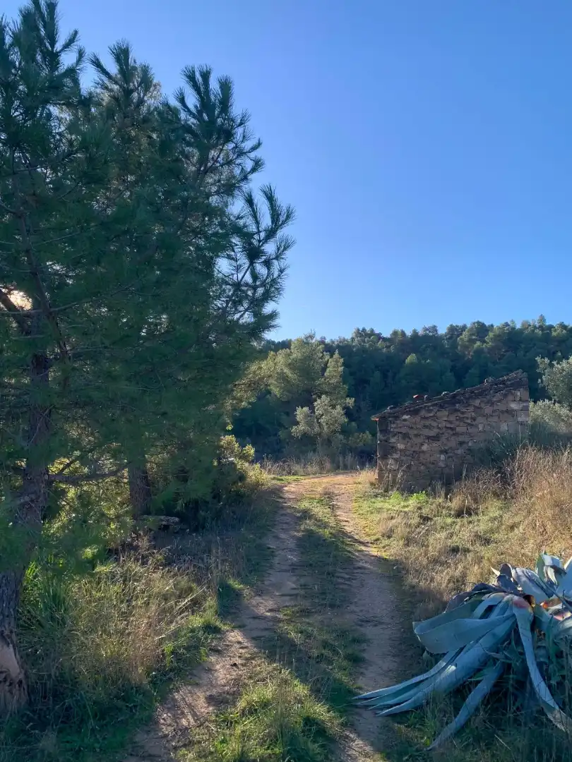 Terreno rustico in vendita a Juncosa, imagen 5