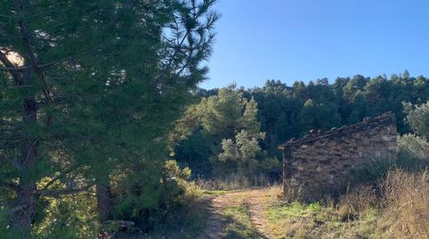 En venda finca rústica a Juncosa – l’Albagés (Les Garrigues), immagine 5