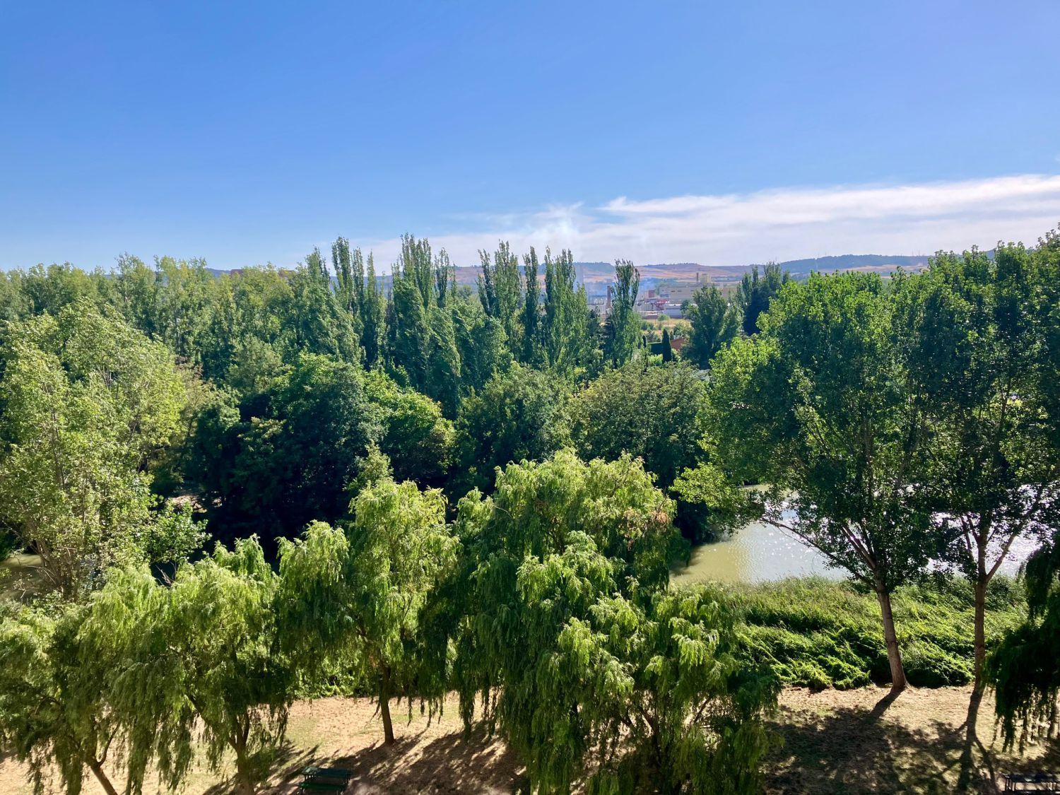 Garden of Flat for sale in Palencia Capital  with Heating and Terrace