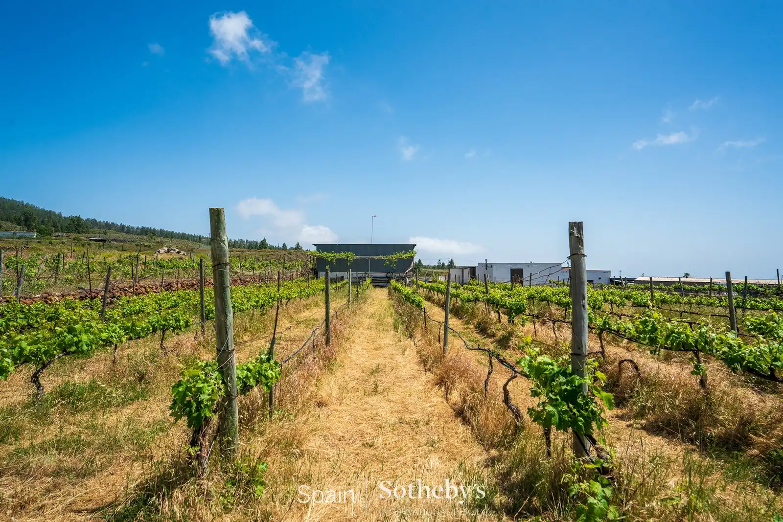 Residential for sale in Adeje