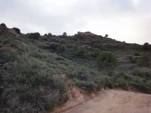 Terrenys i solars en venda a Paraje Vallota, imagen 15