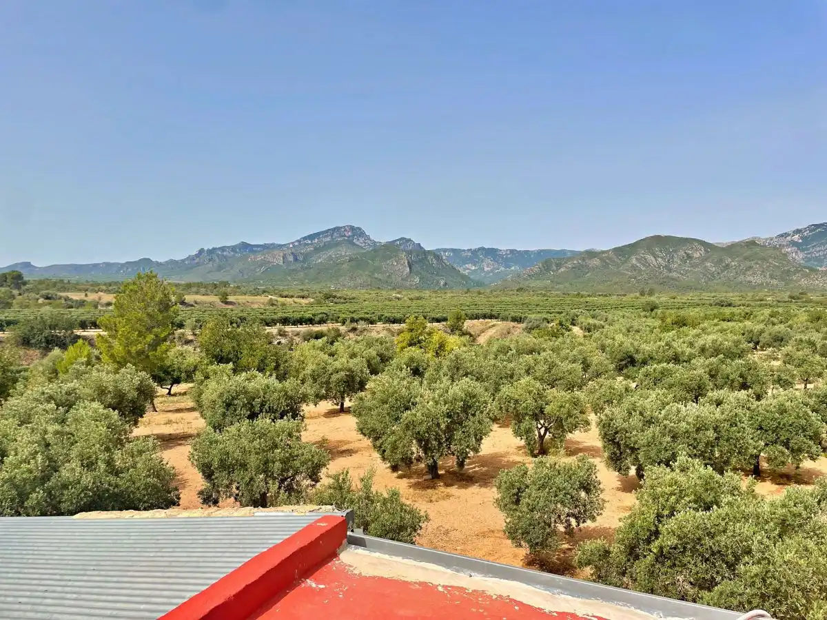 Jardí de Casa o xalet en venda en Xerta amb Terrassa