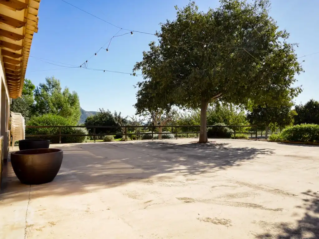 House for sale in Camí Pla de Lloret, imagen 15