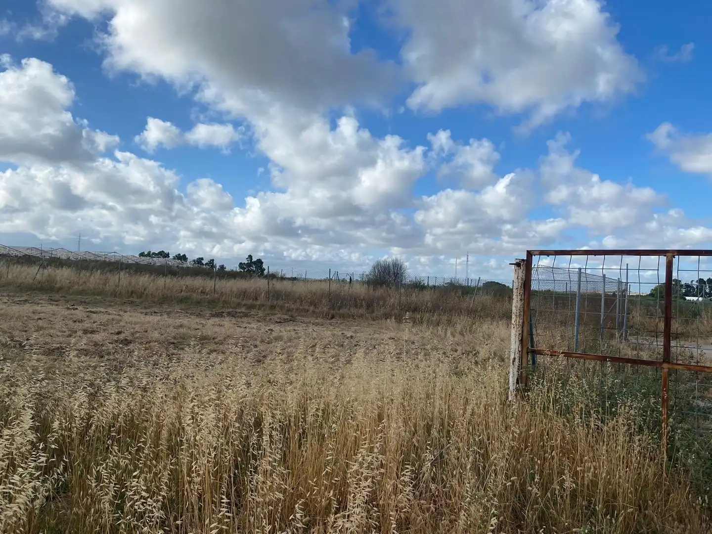 Rural land for sale in Norte - Blanca Paloma, imagen 15