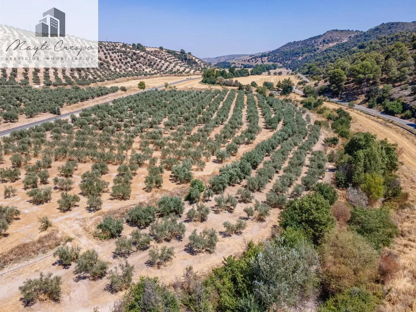Terreny rústic en venda a Deifontes, imagen 11
