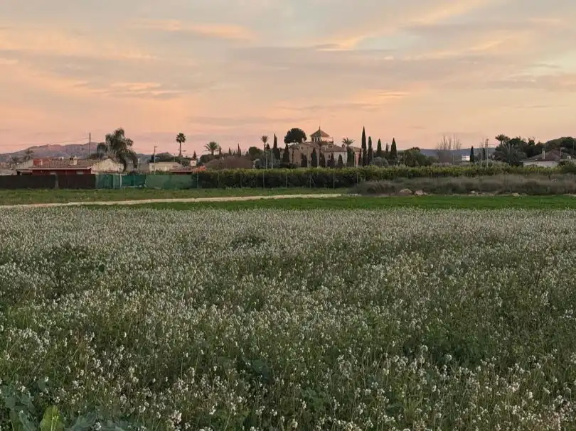 Grundstücke zum Verkauf in Murcia