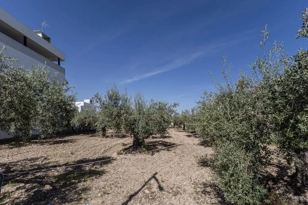 Residential for sale in Gójar