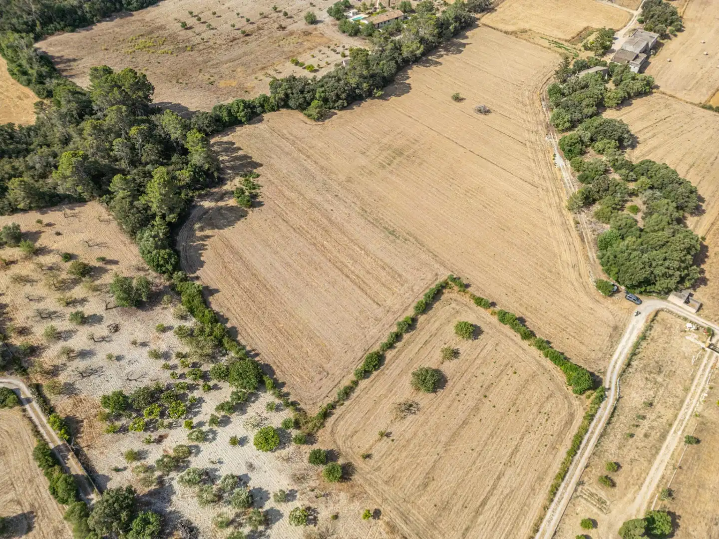 Terrain rustique à vendre à Diseminado Son Mora 199, imagen 7