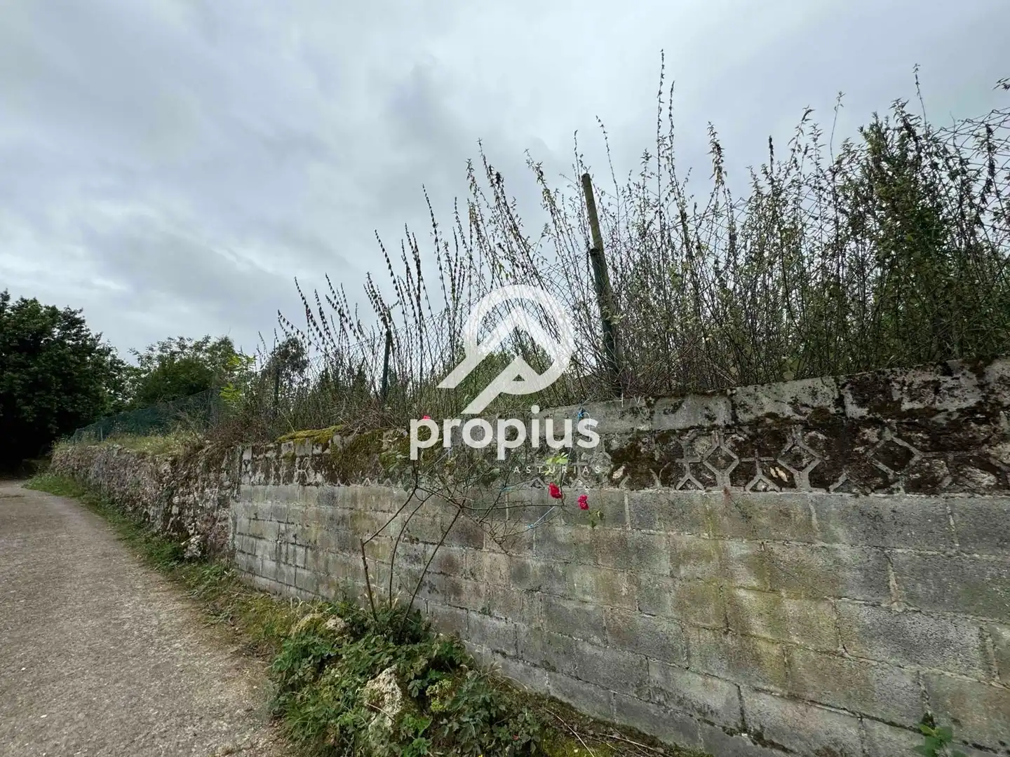 Rural land for sale in Arenas, imagen 33