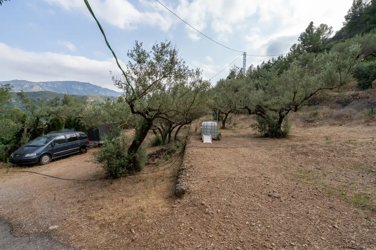 Finca rústica en venda a Carrer de Dalt, 3, Alfara de Carles