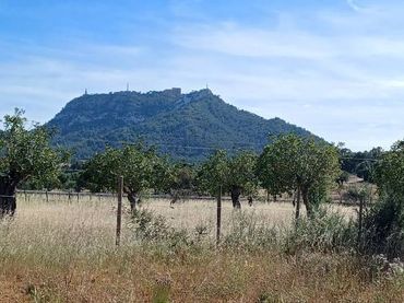 Terreni e lotti in vendita a Felanitx Poble