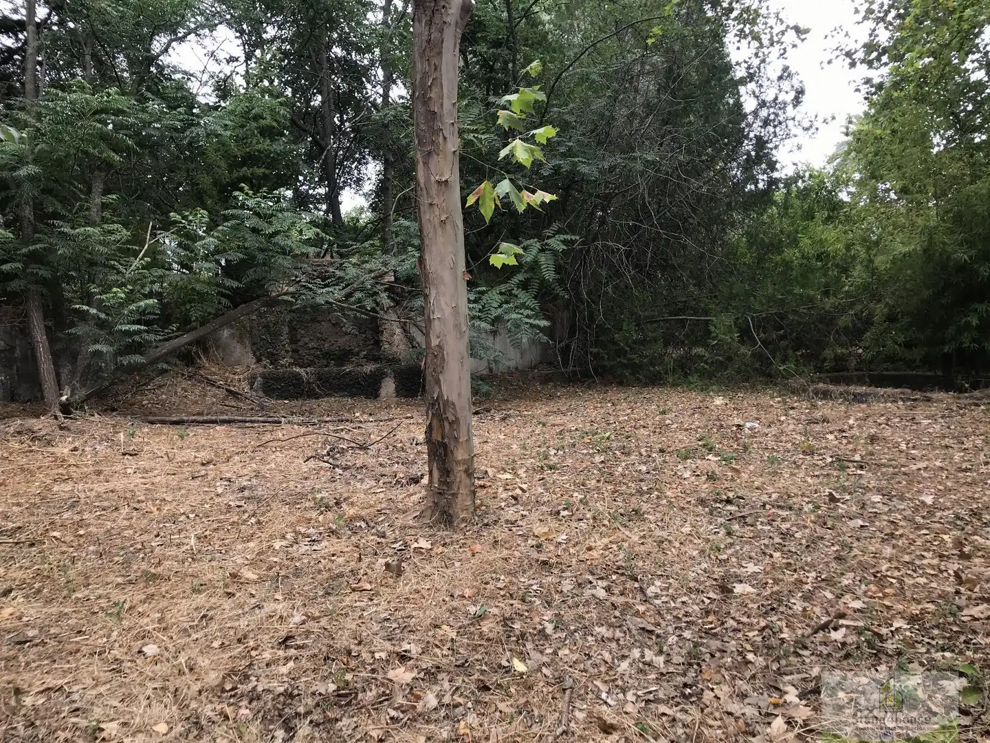 Terreno residenziale in vendita a Norte-Sierra, imagen 5