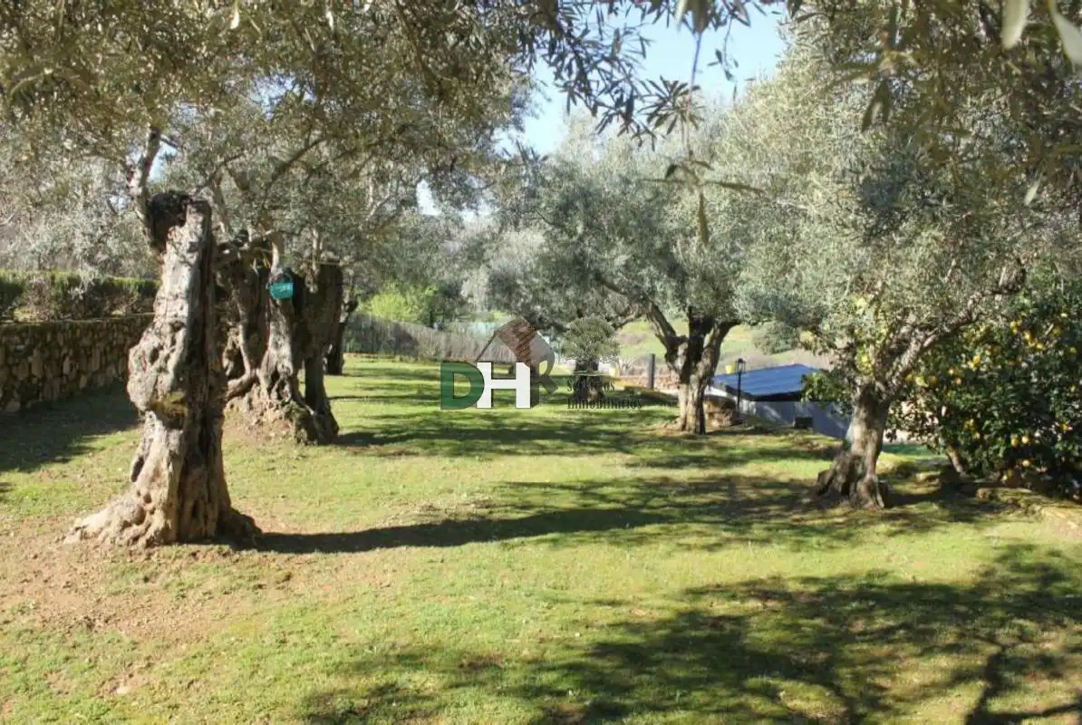 House with terrace for sale in Berzocana, imagen 6