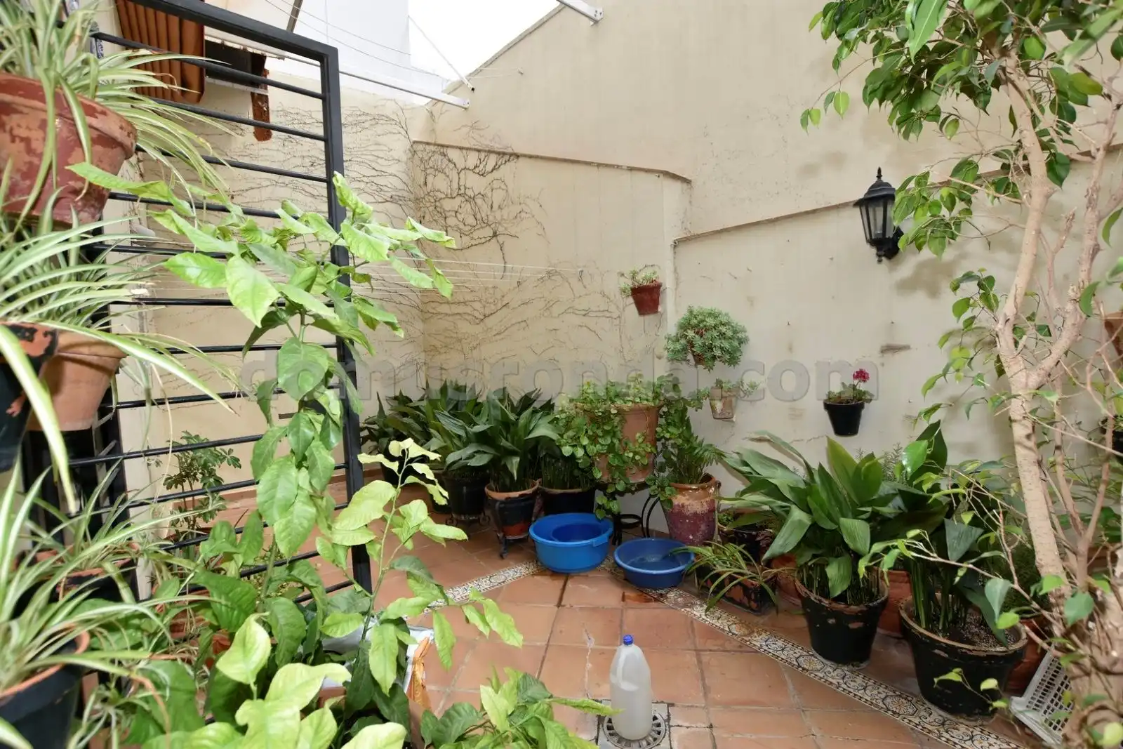 Casa amb terrassa en venda a Casco Histórico, imagen 20