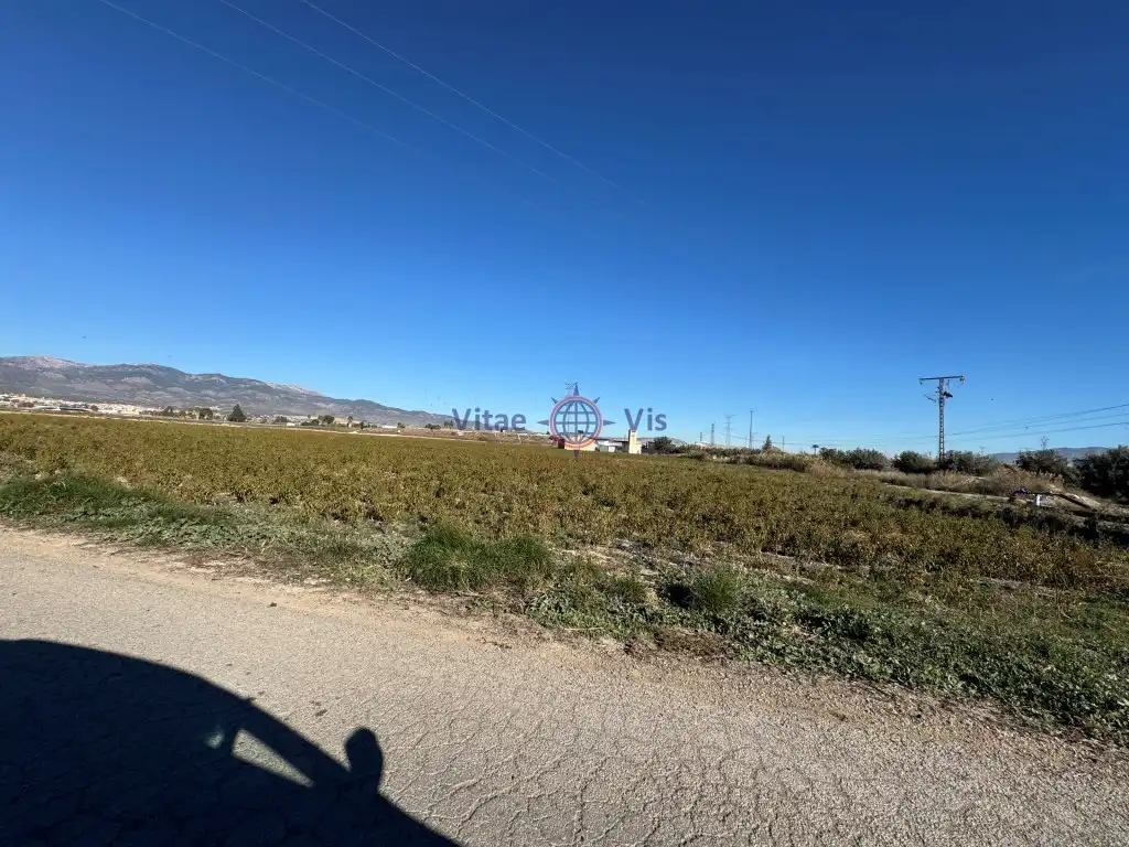 Terreny industrial en venda en Totana