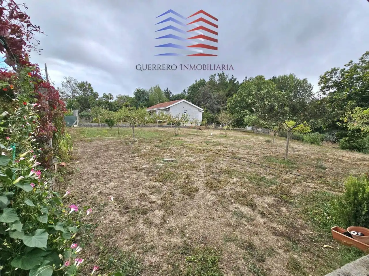 Casa o xalet en venda en Celanova amb Jardí privat i Terrassa
