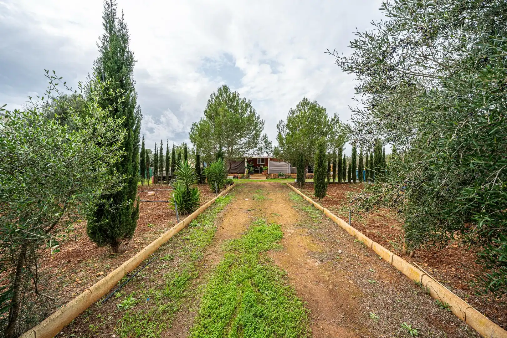 Terreno rustico in vendita a Camino SO N´AMORA NOU