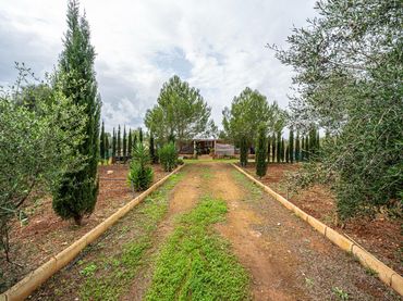 Terreno rústico en venta en Camino SO N´AMORA NOU