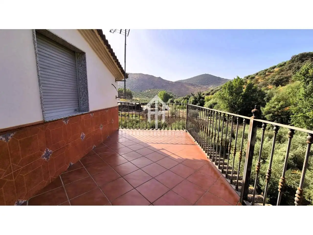 Vista exterior de Casa o xalet en venda en Algarinejo amb Jardí privat, Terrassa i Moblat