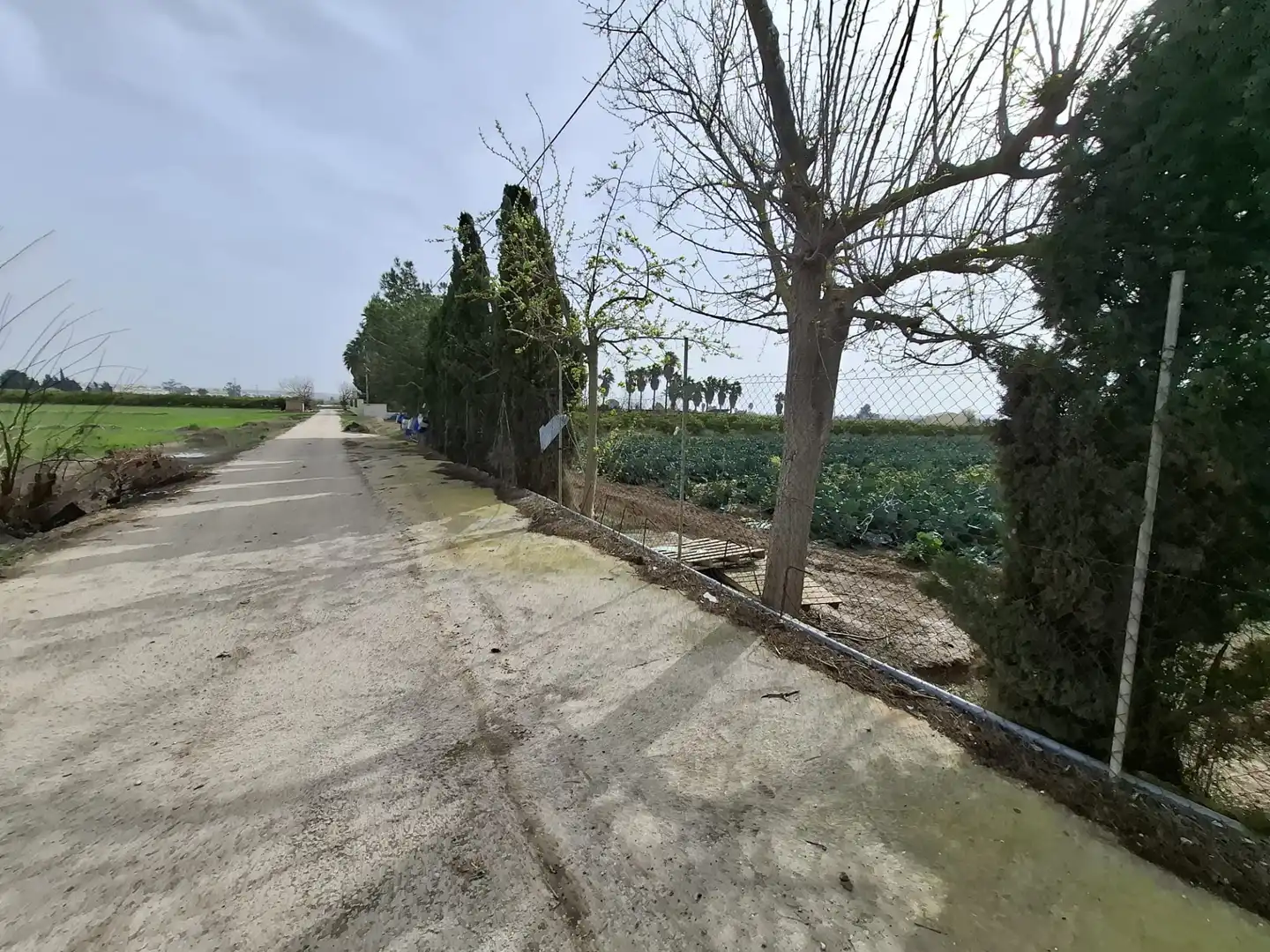 Finca rústica en venda a Partida Saavedra, El Edén