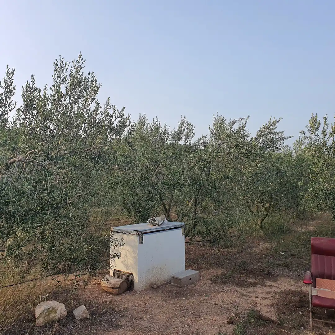 Maison à vendre à El Pinell de Brai, imagen 6