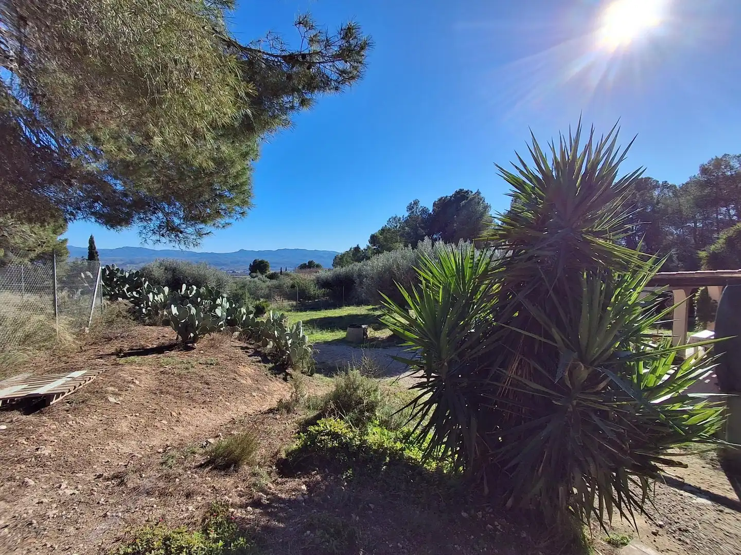 Finca rústica en venda en Móra d'Ebre