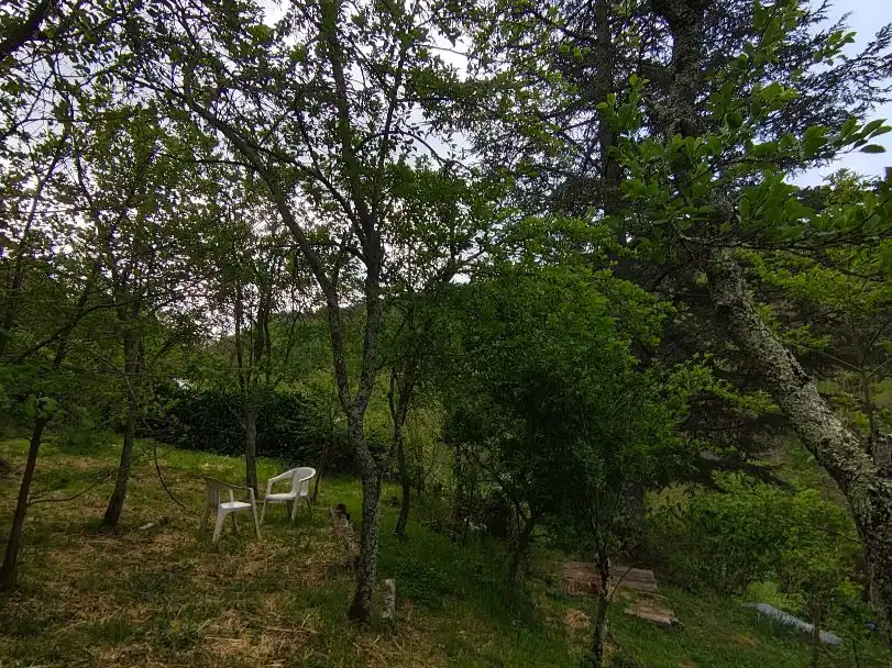 Villa avec jardin à vendre à C-38 39, imagen 18
