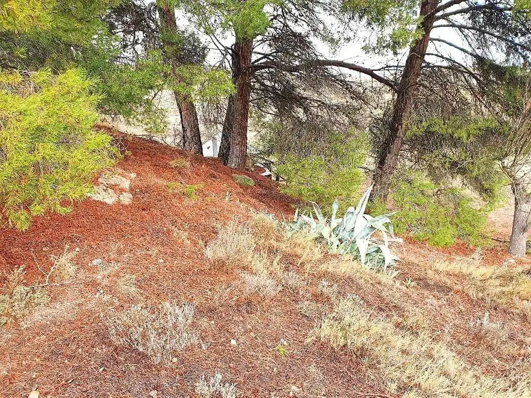 Terreno en venta en Maluenda
