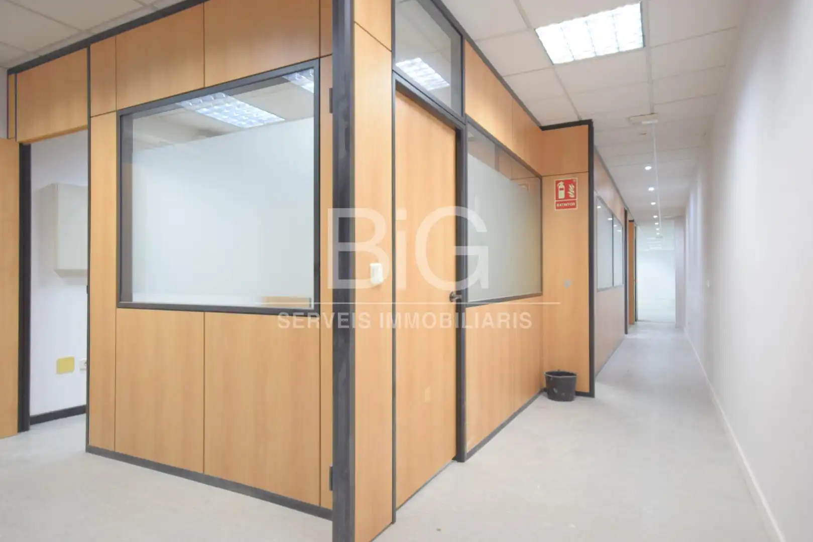 Office space to rent in Centre, imagen 4