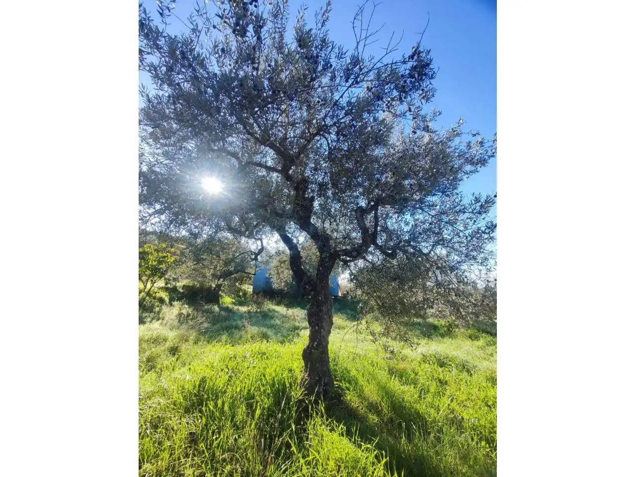 Residencial en venta en El Grado