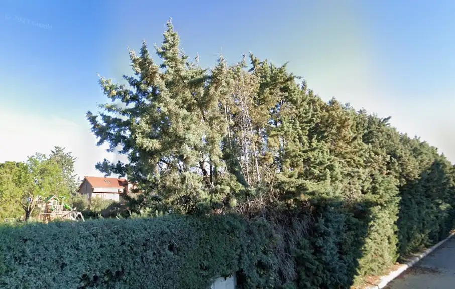 Terreny residencial en venda a Calle Madrid 78, imagen 5