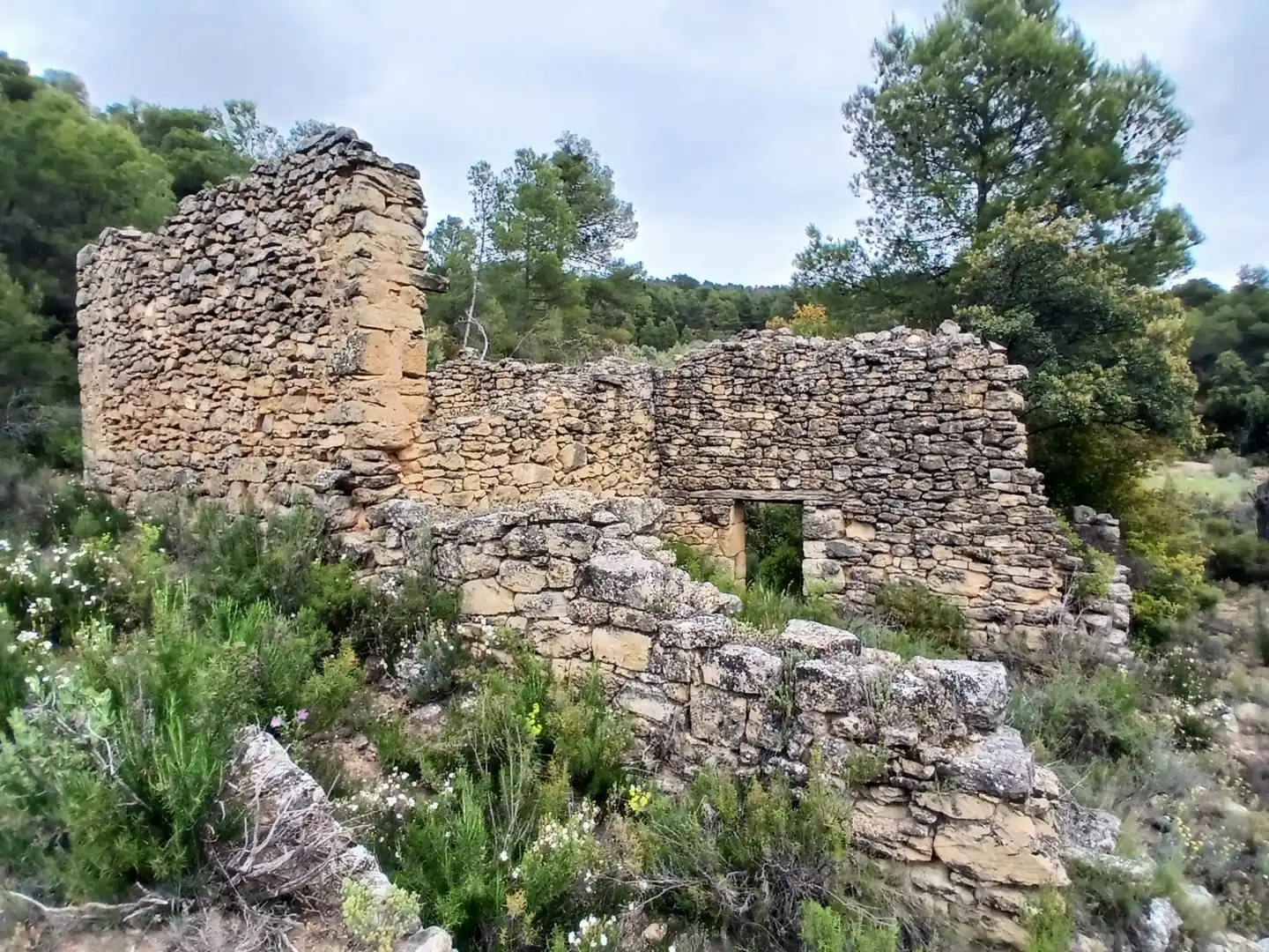 Terreni e lotti in vendita a Fórnoles