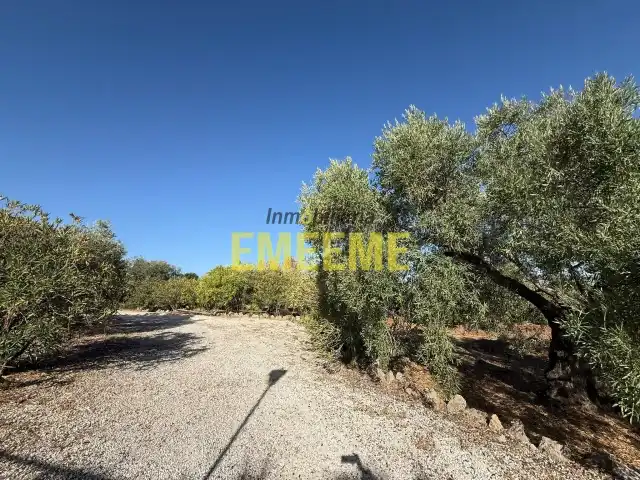 Finca rústica en venta en Centro