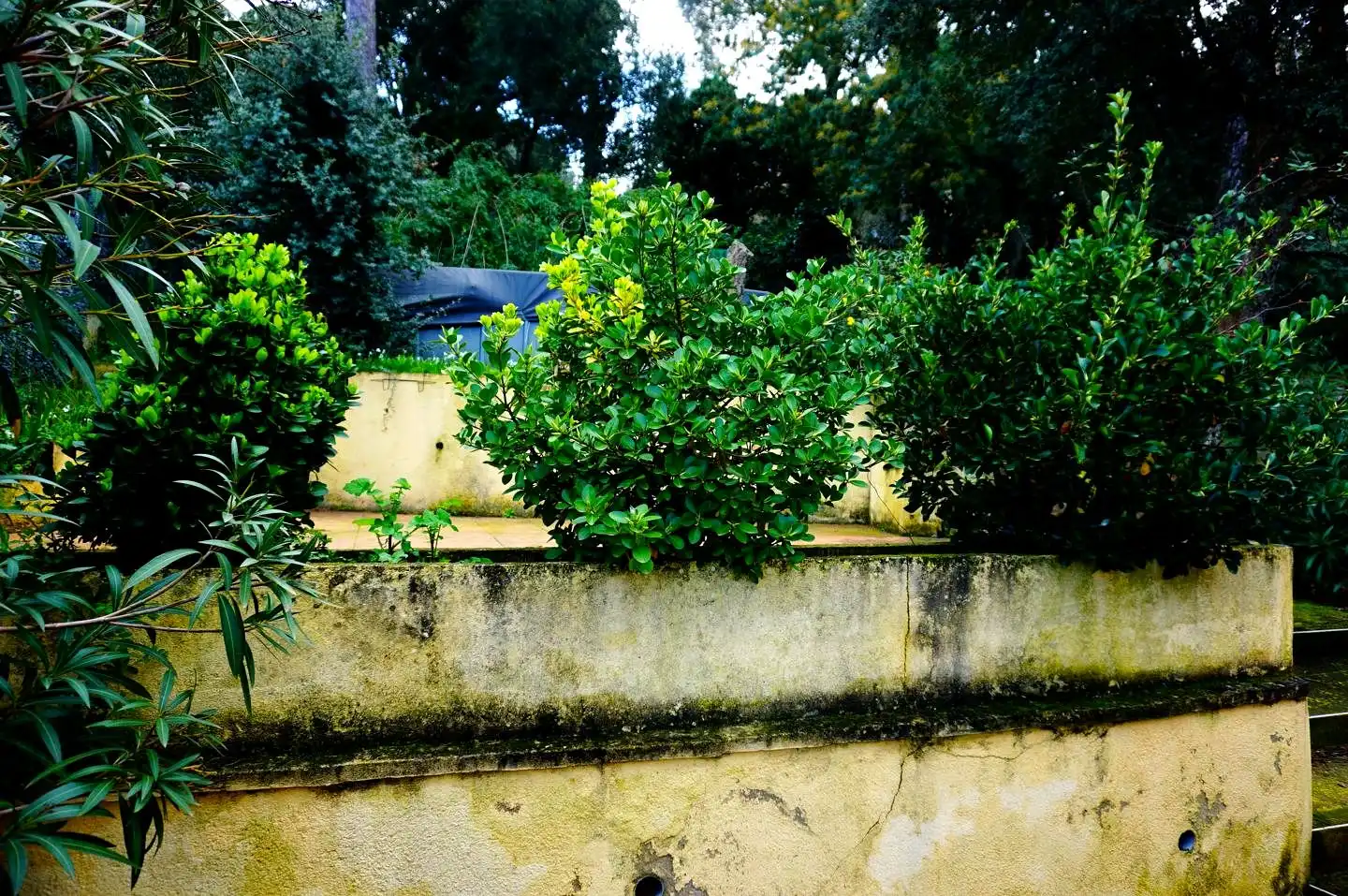 Maison avec jardin à vendre à Mas Mora - Sant Daniel, imagen 27