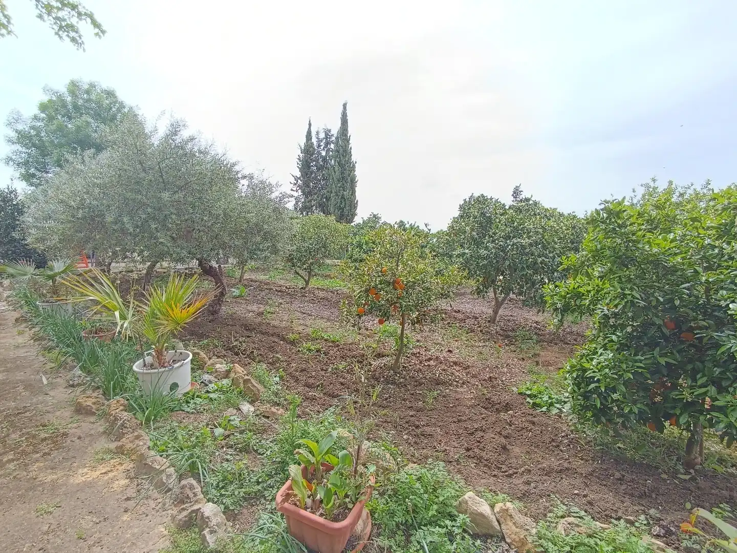 Terreni e lotti in vendita a Villamartín, imagen 16