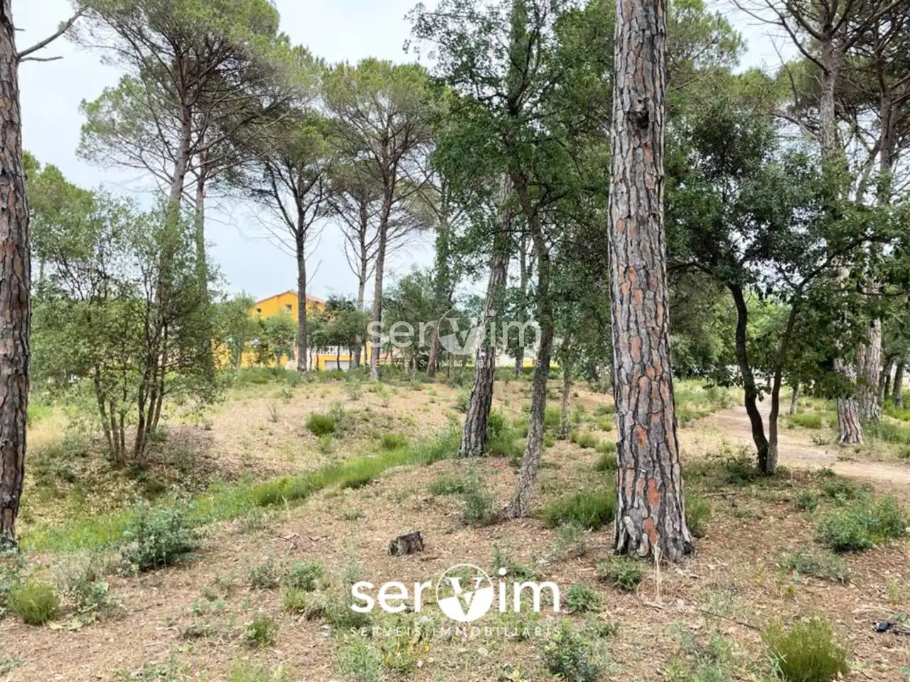 Terrain résidentiel à vendre à Avenida Malavella 206, imagen 13