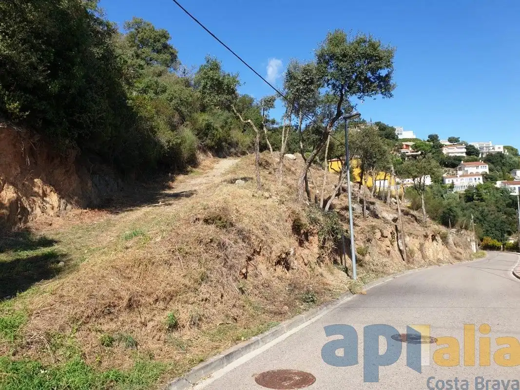Residential land for sale in Carrer Xiprer, imagen 15