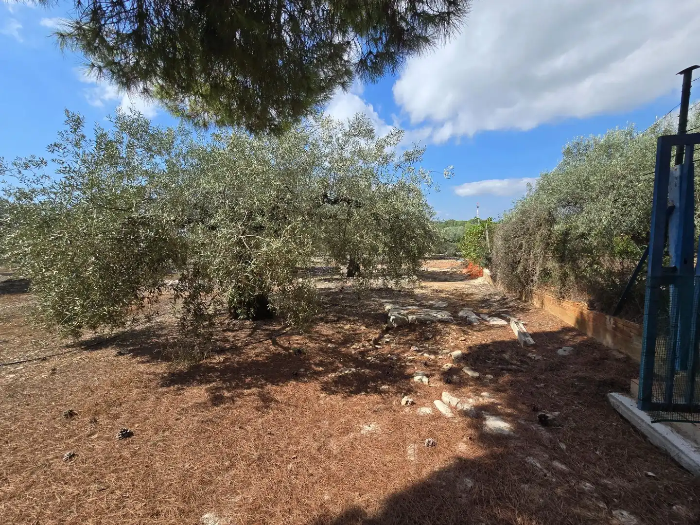 Finca rústica en venta en Freginals con Jardín privado